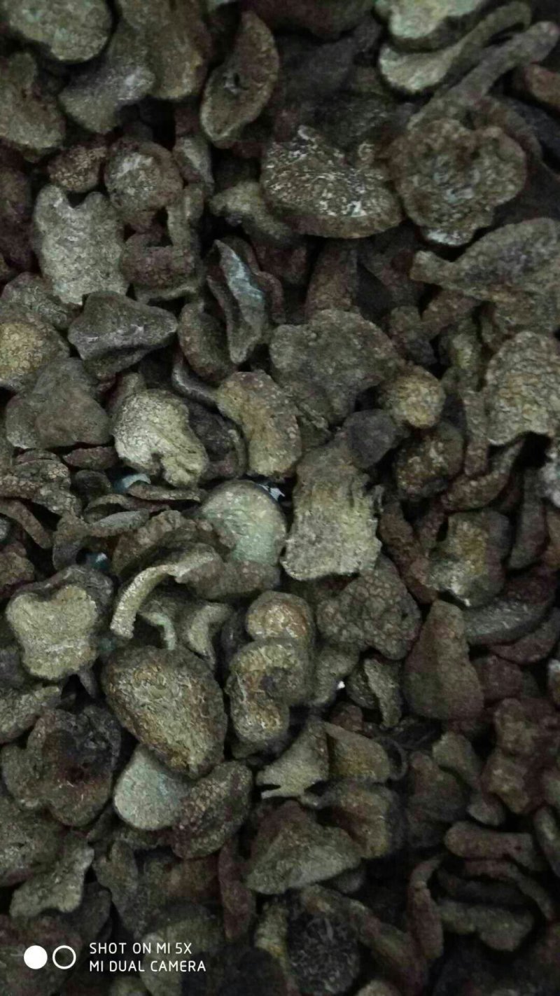 松露干片