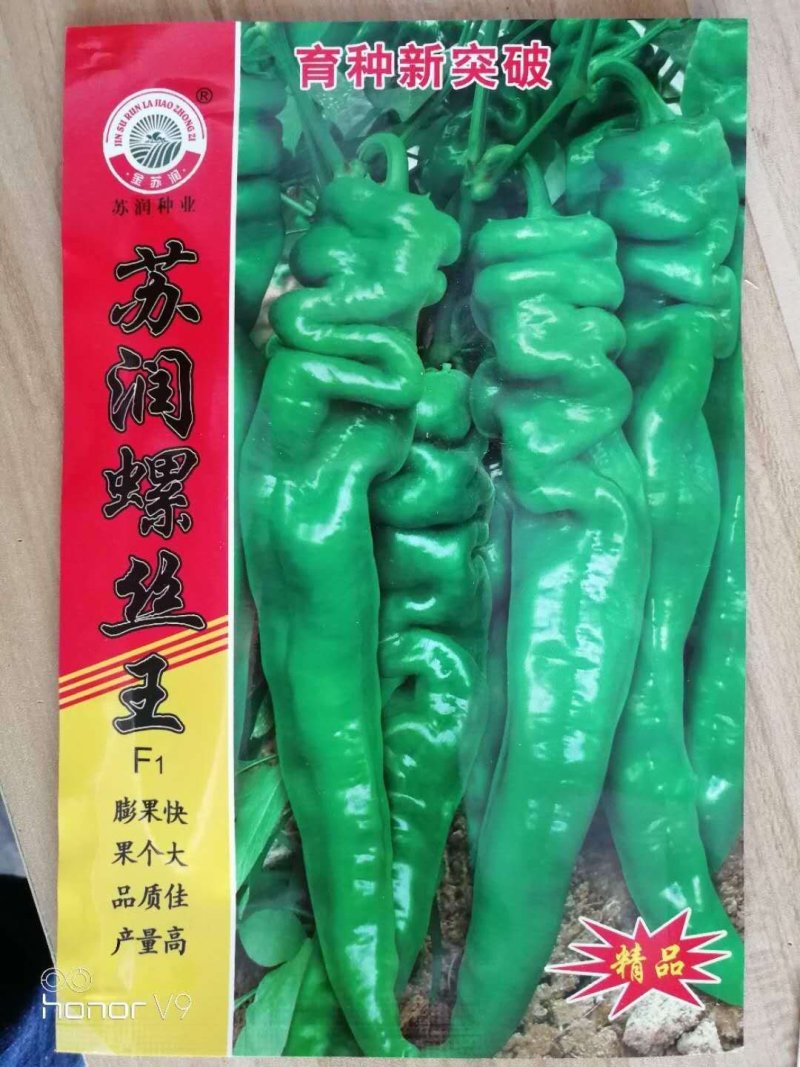 线椒种子泡椒种子黄皮椒