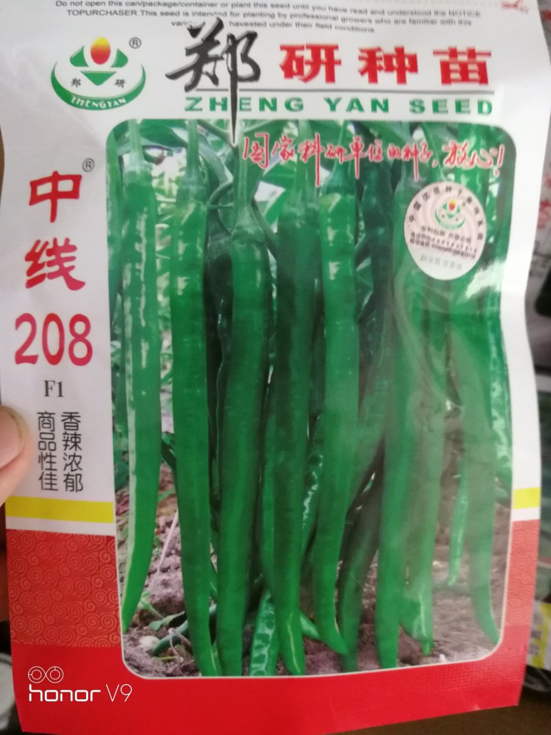 线椒种子泡椒种子黄皮椒