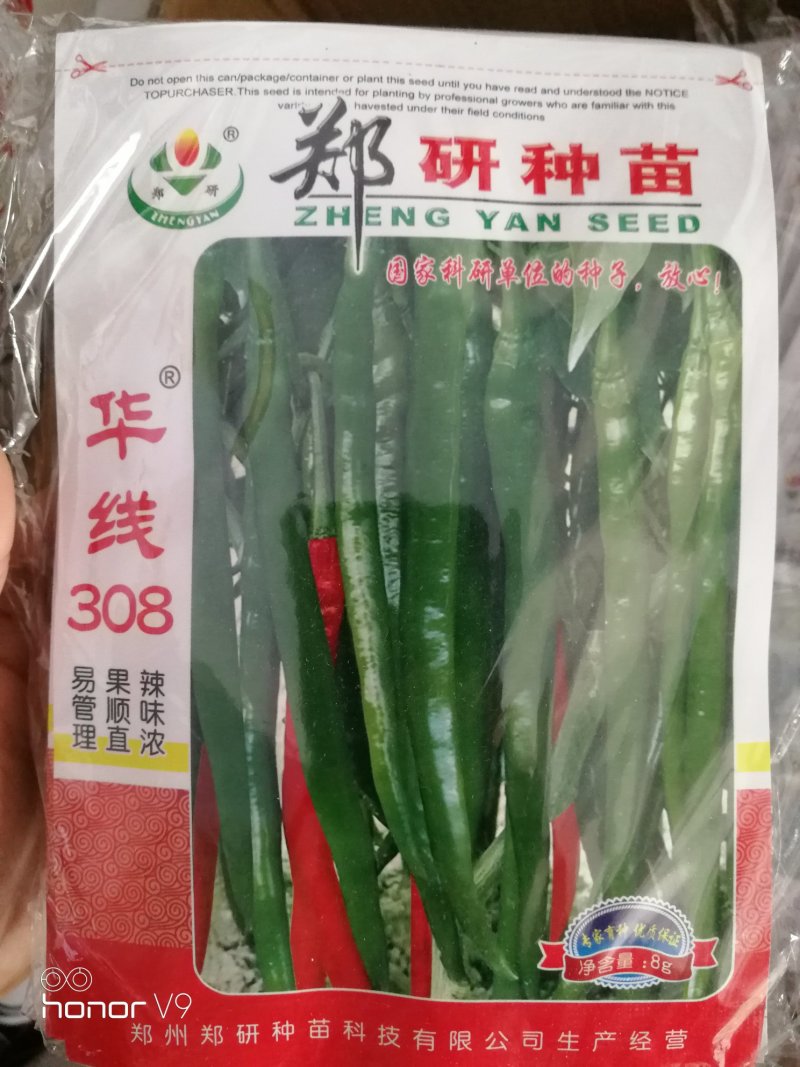线椒种子泡椒种子黄皮椒