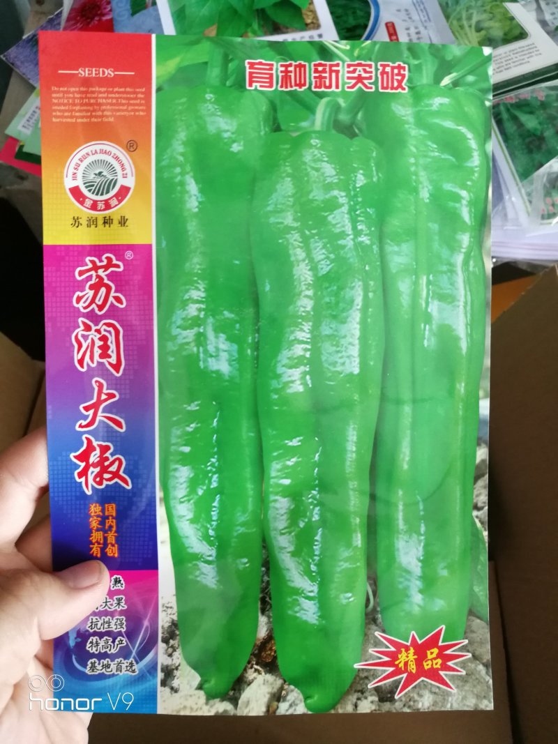 线椒种子泡椒种子黄皮椒