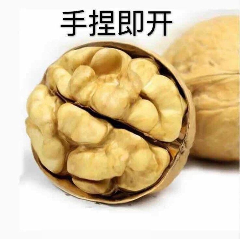新疆185纸皮核桃5斤包邮