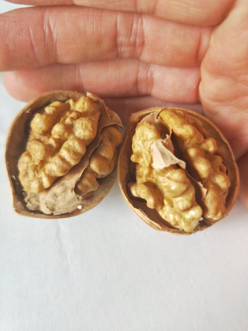 新疆185纸皮核桃5斤包邮