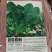 【优质】大黑圆叶丹麦原种秋季种植耐寒抗病品质好红根菠