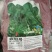【优质】大黑圆叶丹麦原种秋季种植耐寒抗病品质好红根菠