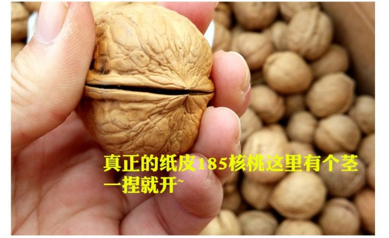 新疆185纸皮核桃大果包邮