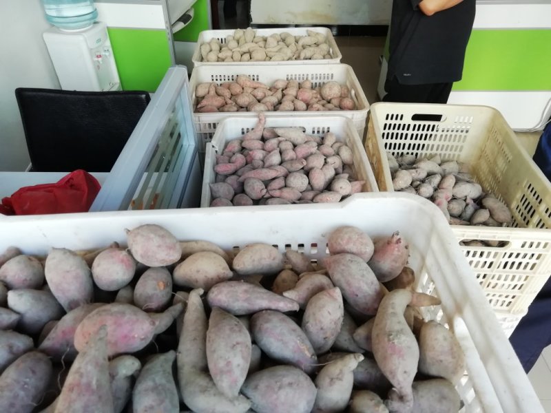 板栗番薯。