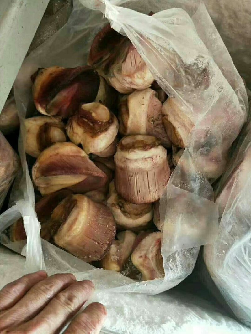 驴肉