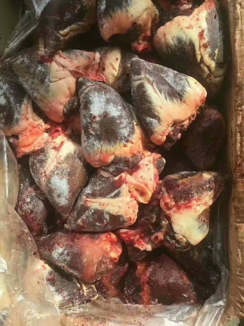 驴肉