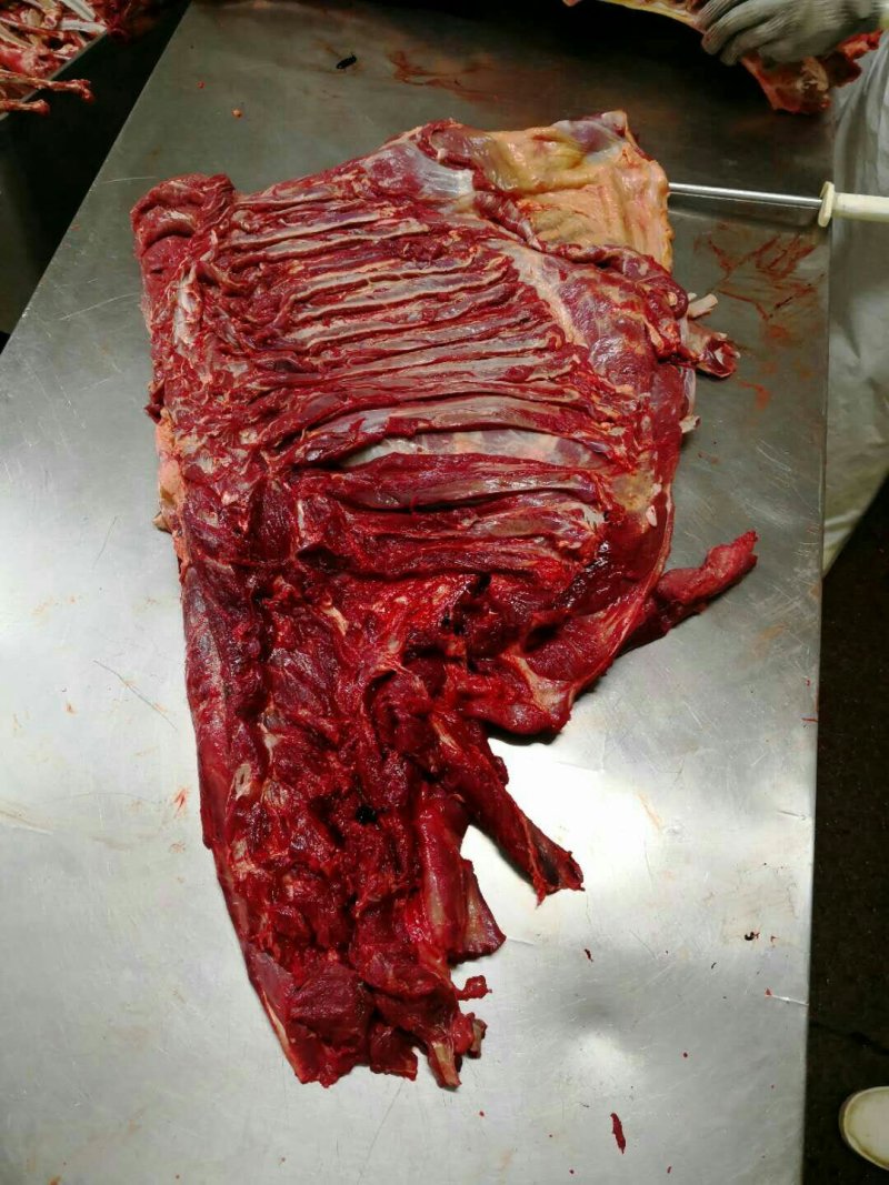 驴肉