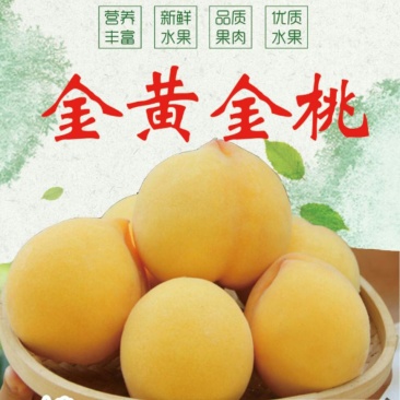 金黄金（晚黄金）果型好。枝条产量高。桃香味浓。黄金密桃
