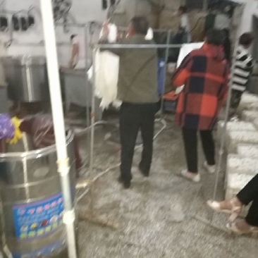 蚕丝被