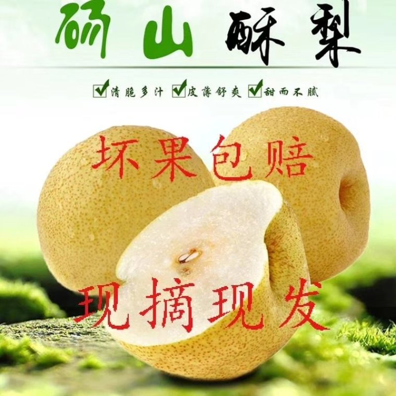 砀山酥梨，果农直销，量大从优。