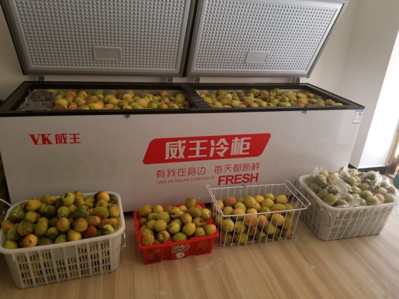 云南临沧山地特产