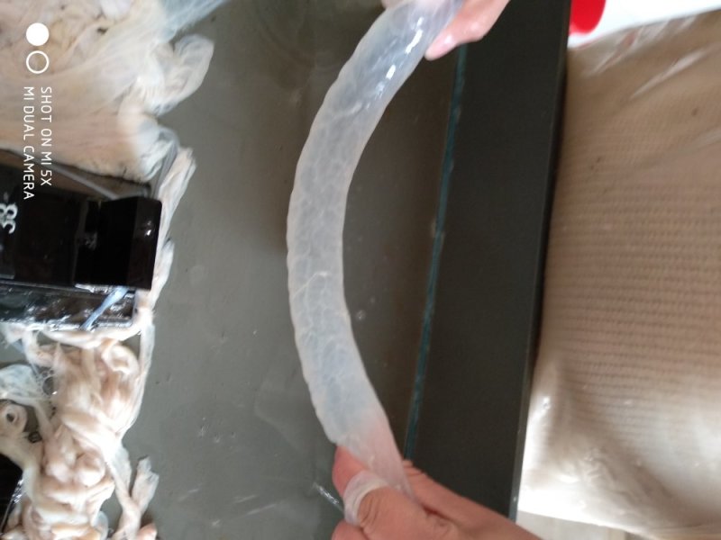 【接定制】肠衣小包装灌肠家庭装，规格齐全，