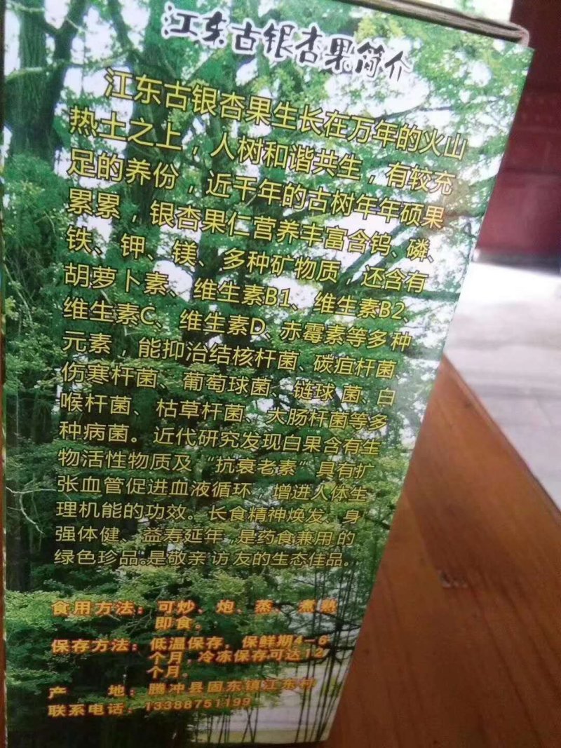 银杏村的百年银杏果