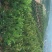 汉中高山蜜橘柑橘诚信代办产地直供，全国发货