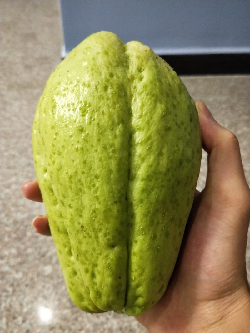 佛手瓜