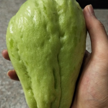 佛手瓜