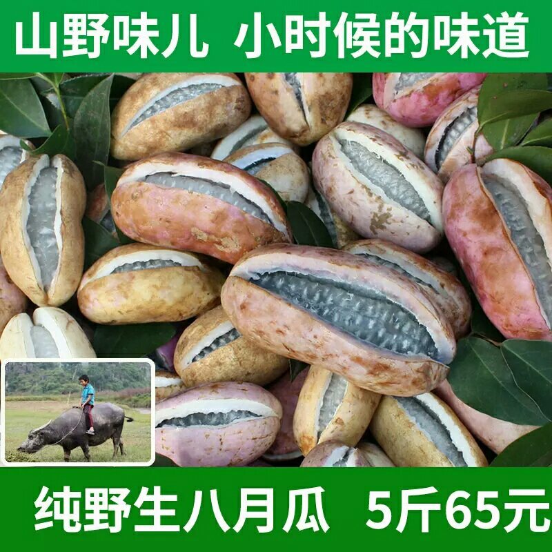 八月瓜