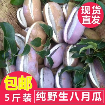 八月瓜