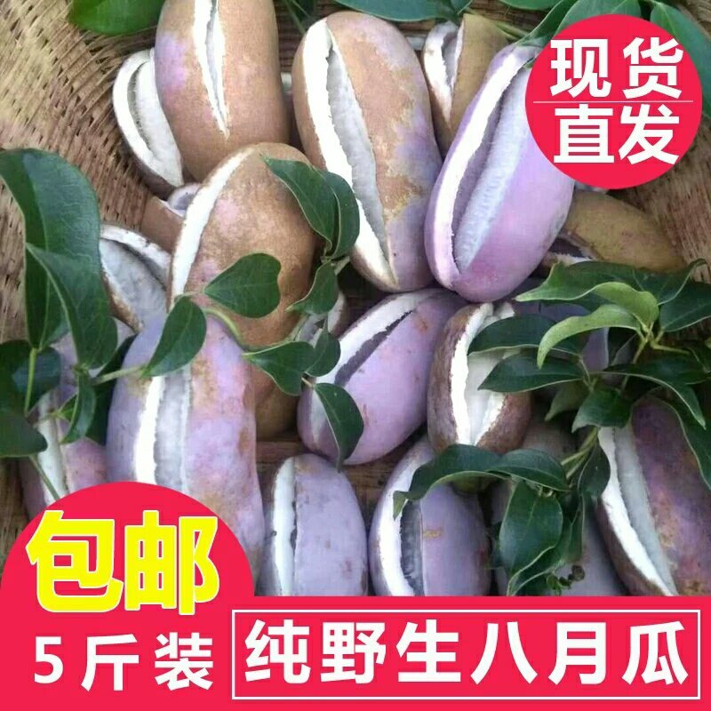 八月瓜