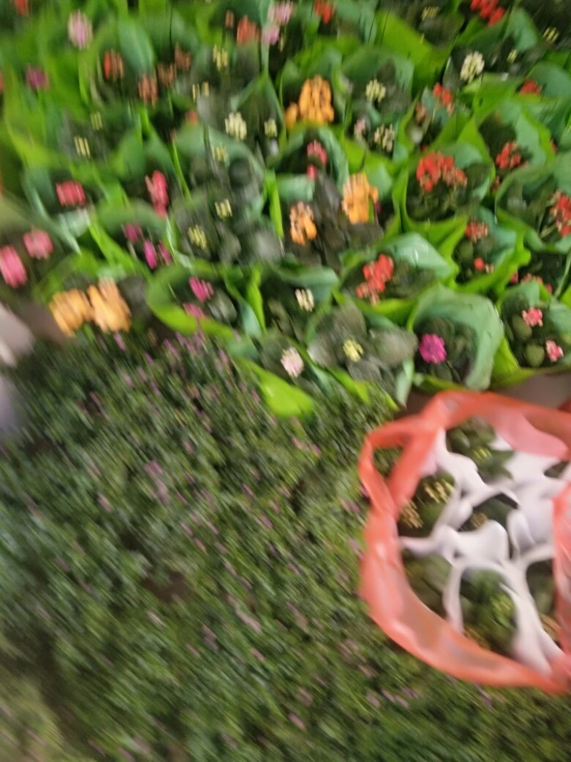 满天星