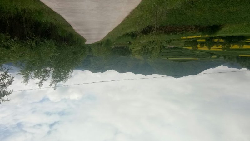 荒地墓地风水宝地风水墓地