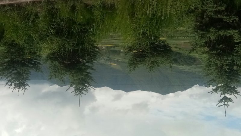 荒地墓地风水宝地风水墓地