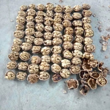 核桃仁