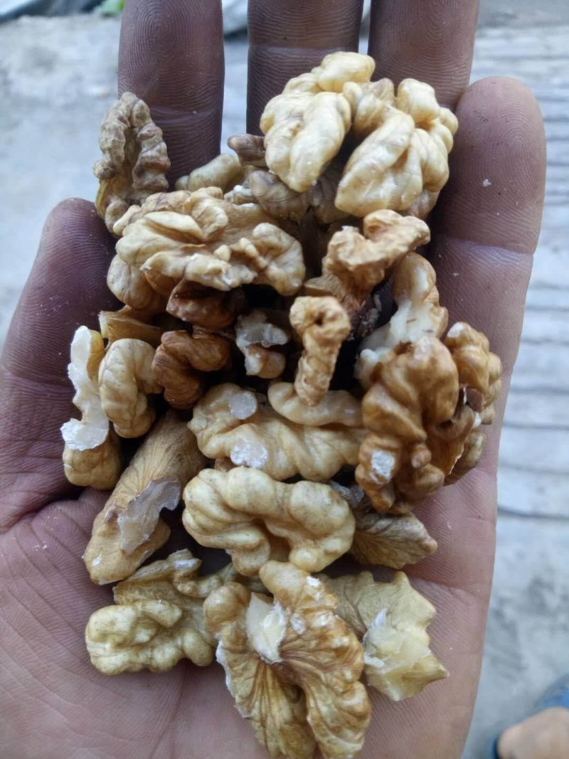 核桃仁