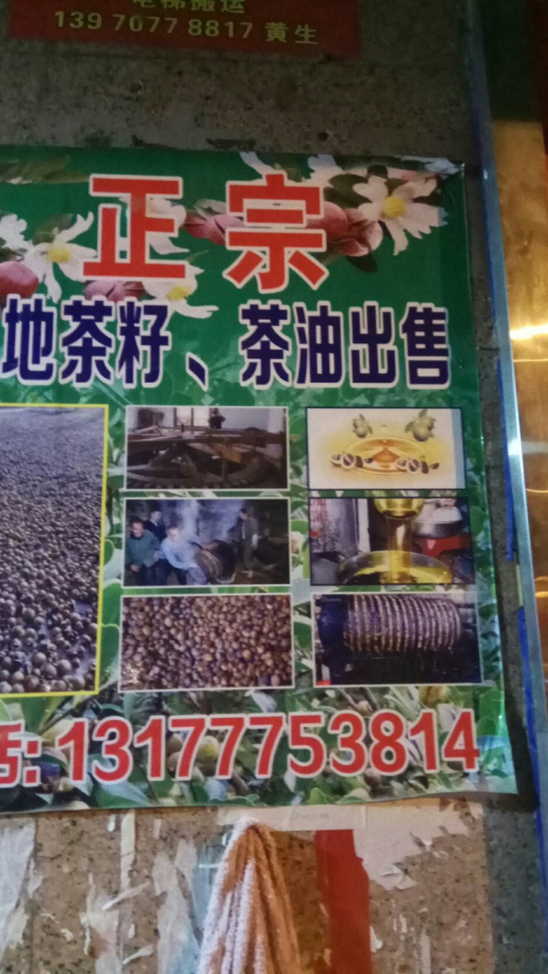 正宗高山茶油