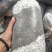 秋季玉米芯掺棉籽壳平菇菌包