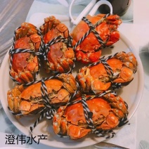 阳澄湖大闸蟹