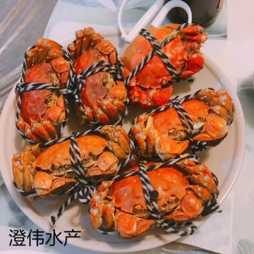 阳澄湖大闸蟹