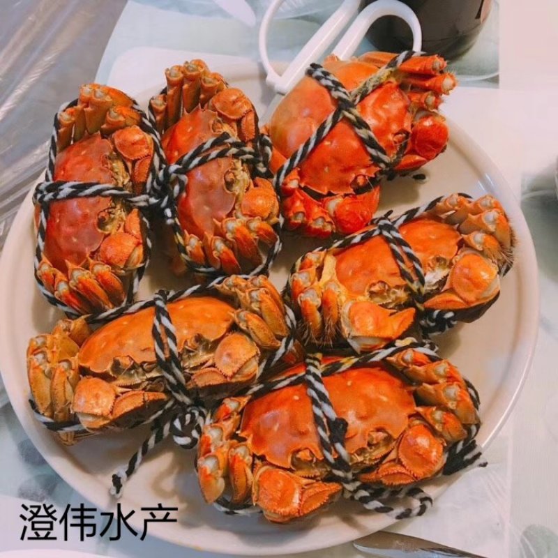 阳澄湖大闸蟹