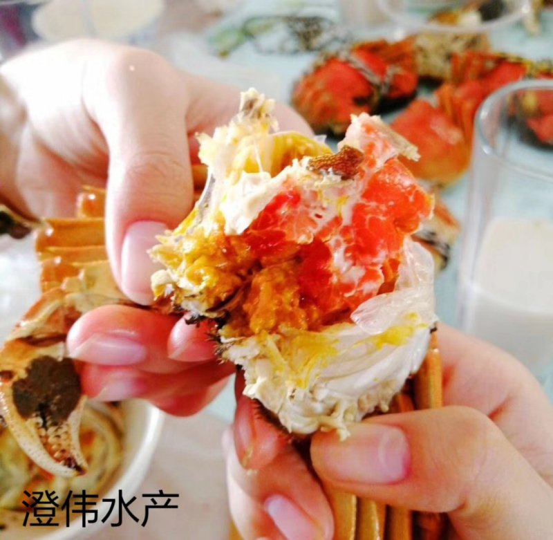阳澄湖大闸蟹