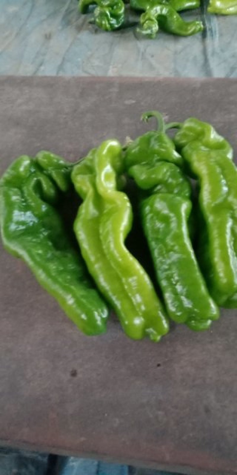 芜湖辣椒大量上市欢迎来电