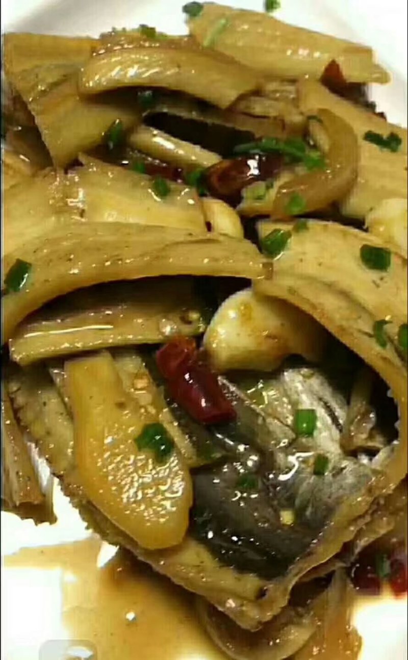野生海鳗新鲜海鳗