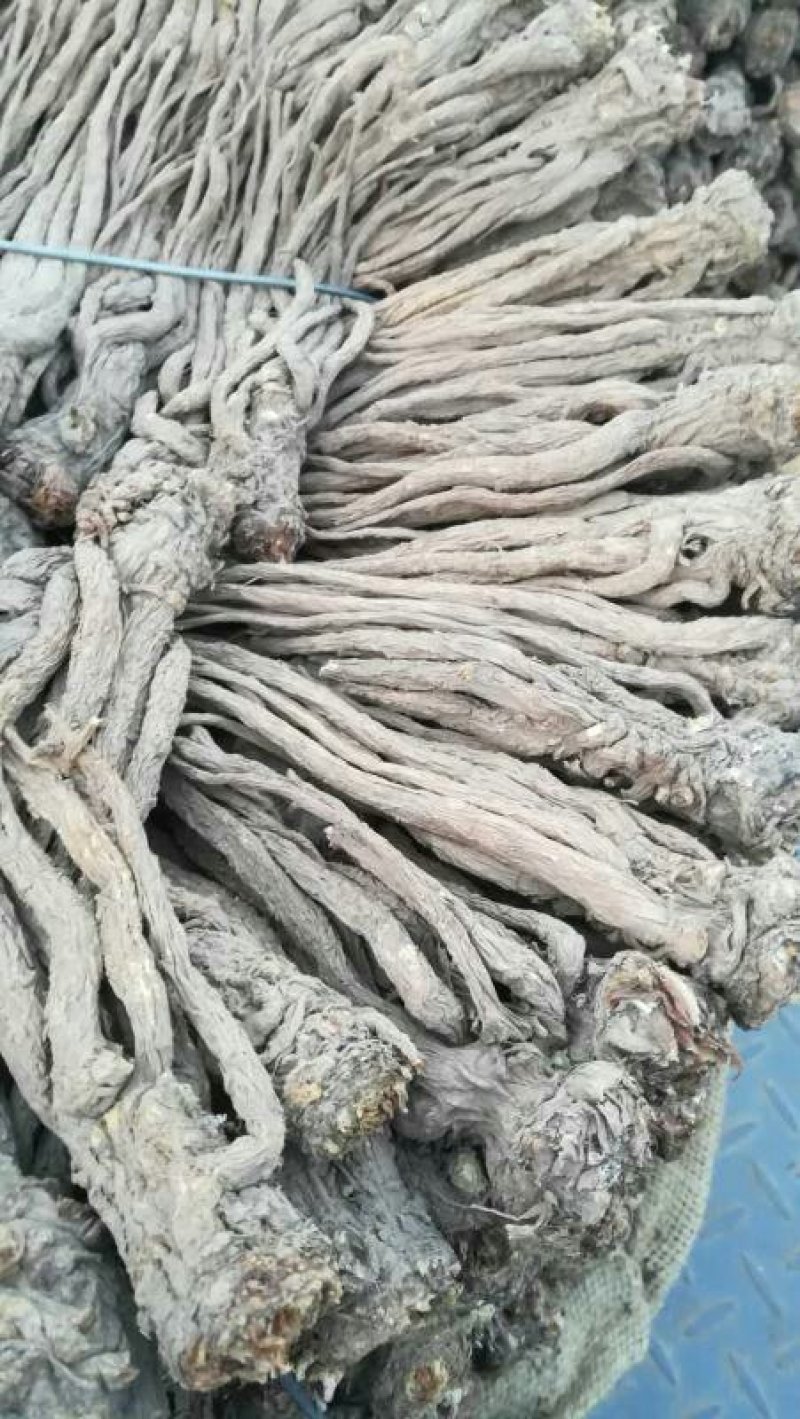 （包邮）甘肃岷县无硫大条当归当归片，产地批发质量保障