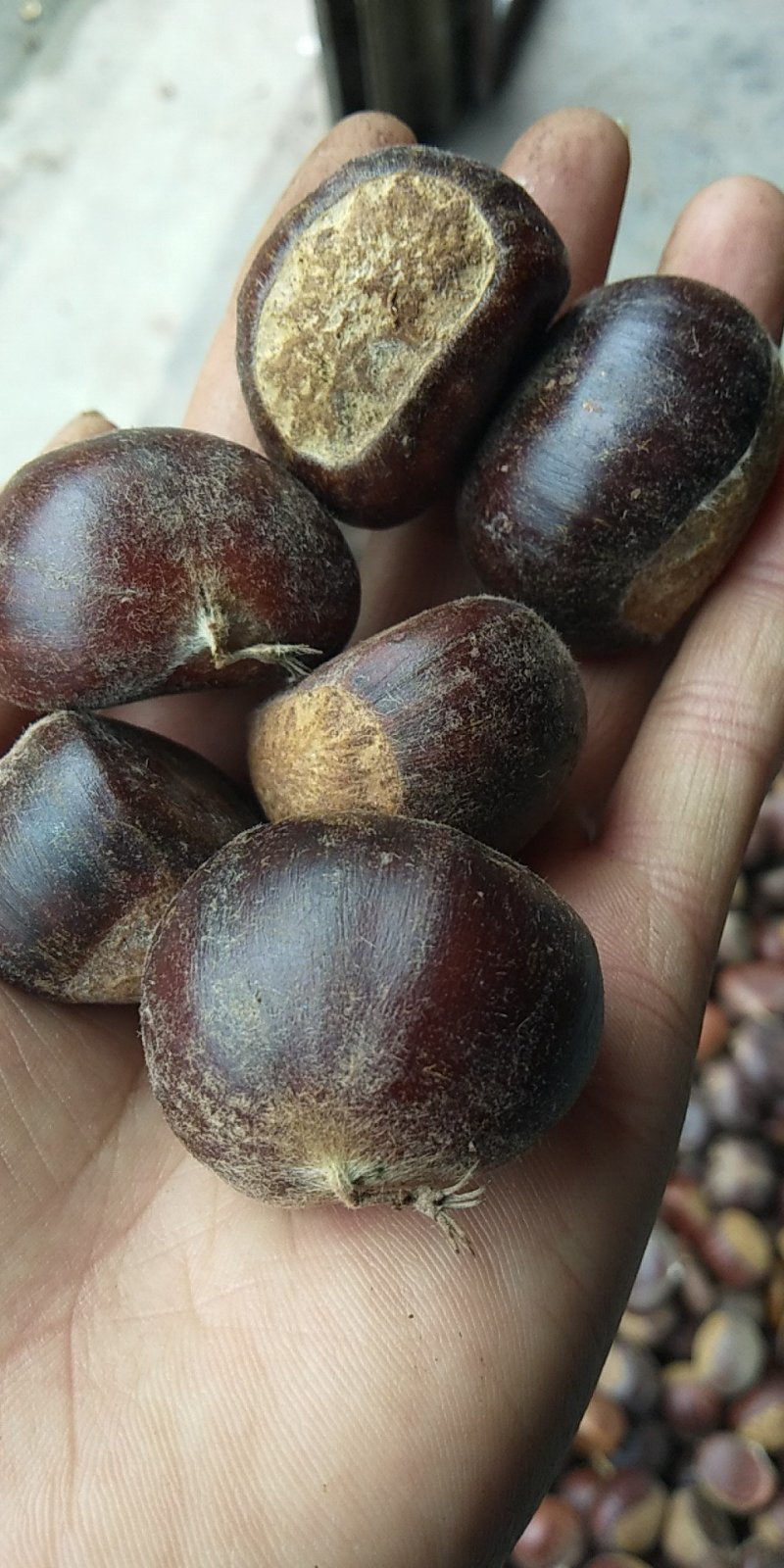 薄皮核桃，板栗