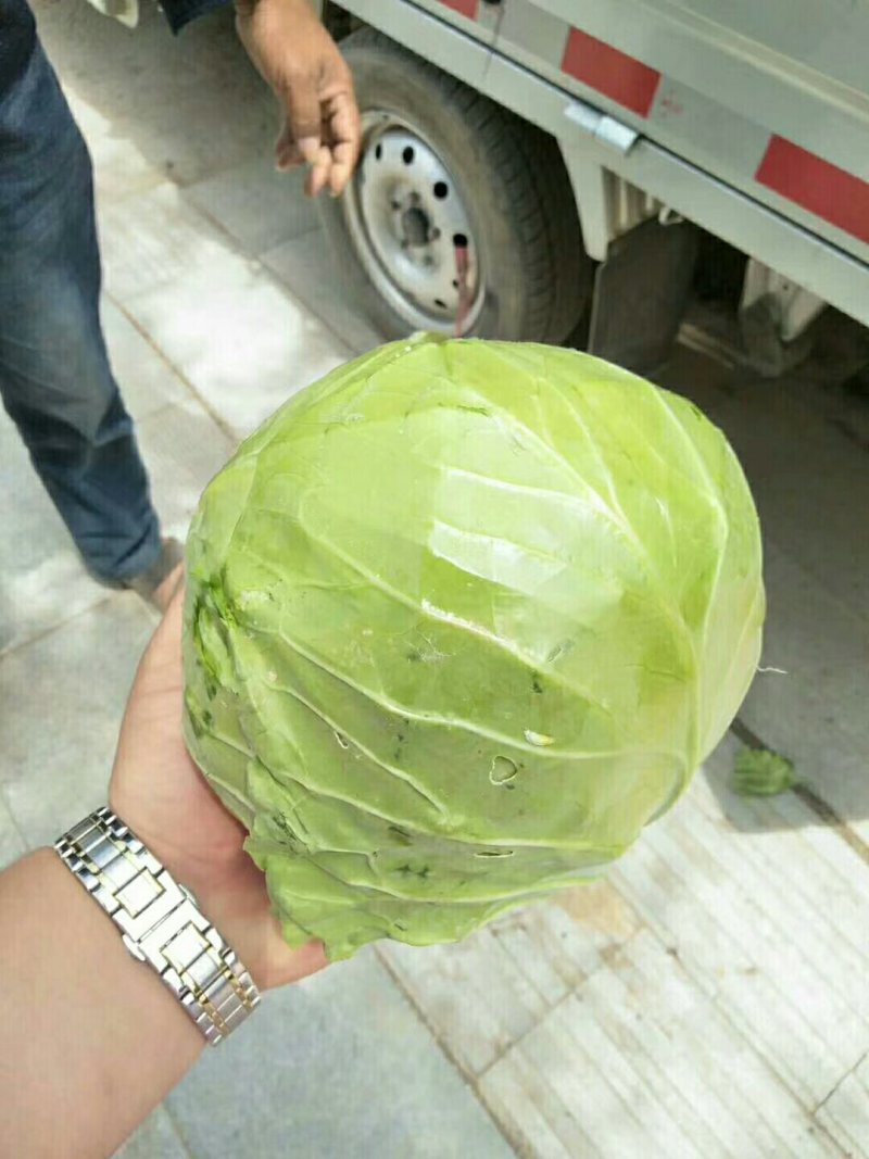 京丰，需要的联系，