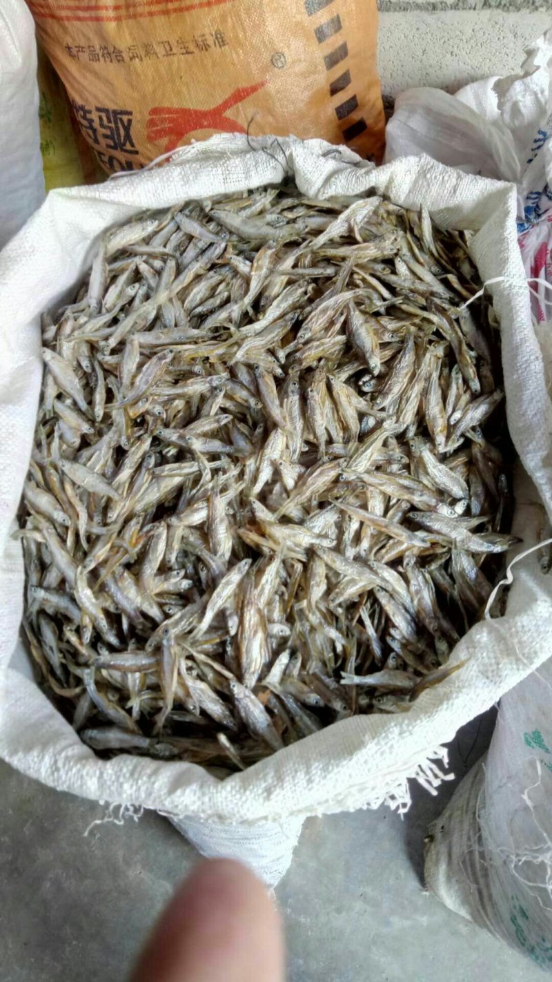 小鱼干无盐5-6cm