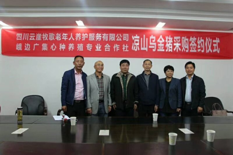 凉山乌金猪生态养殖基地，峨边彝人合作社。