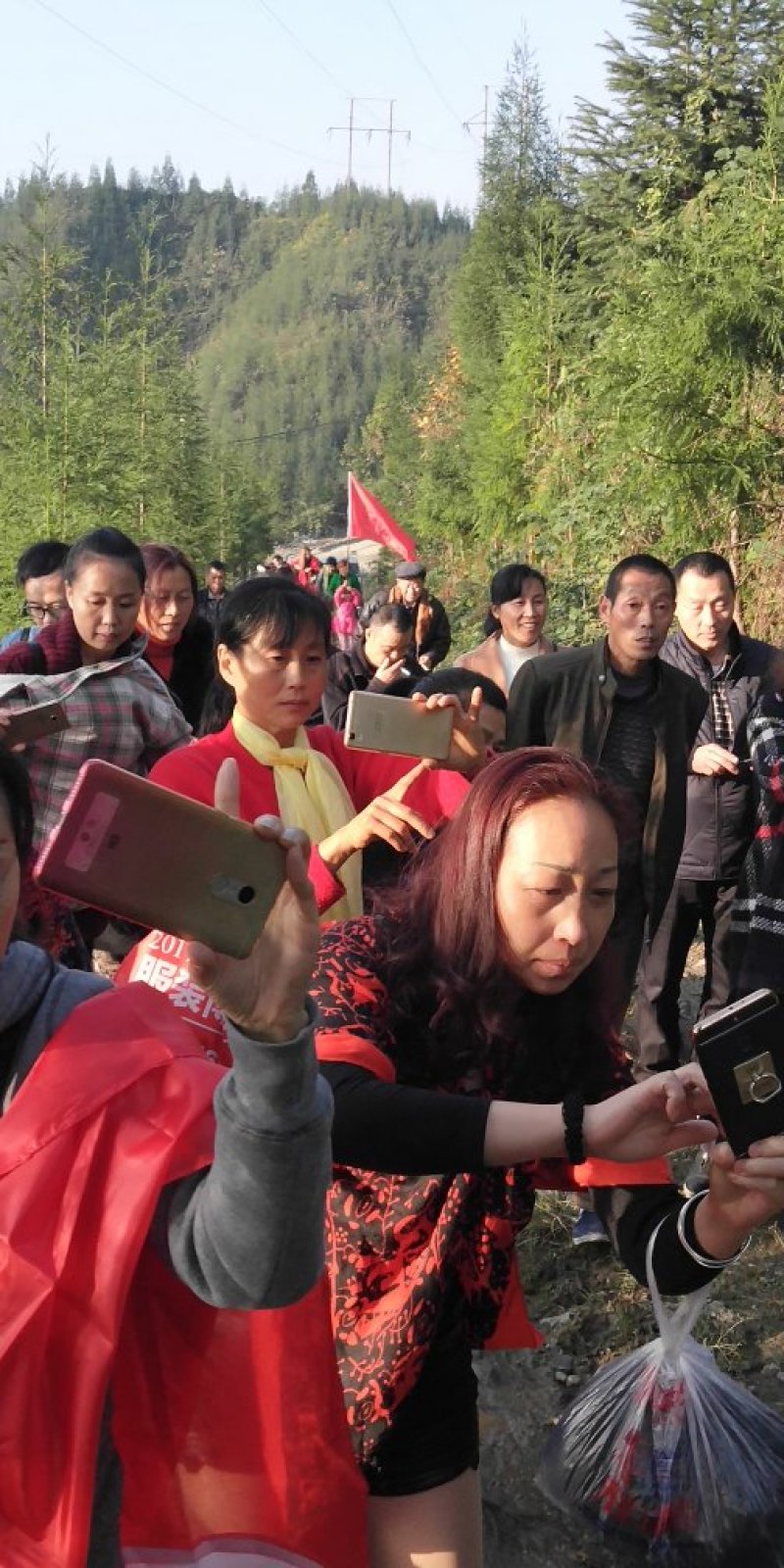 凉山乌金猪生态养殖基地，峨边彝人合作社。