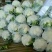 精品菜花批发散花松花货量巨大日供10万斤