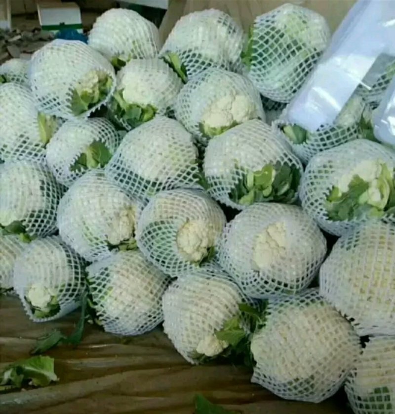 精品菜花批发散花松花货量巨大日供10万斤