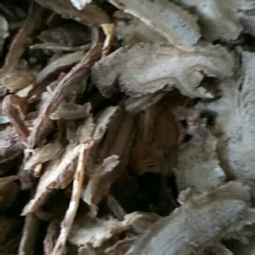 正宗岷当归片大量供货