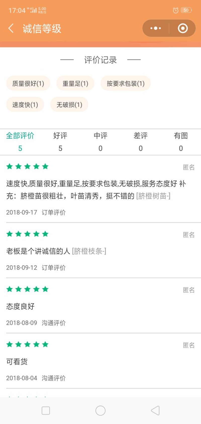 伦晚脐橙树苗狗橘头红橘头晚熟品种化渣