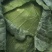 扁包菜